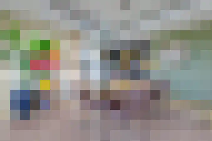 Singraven 15 Lelystad thumbnail 8