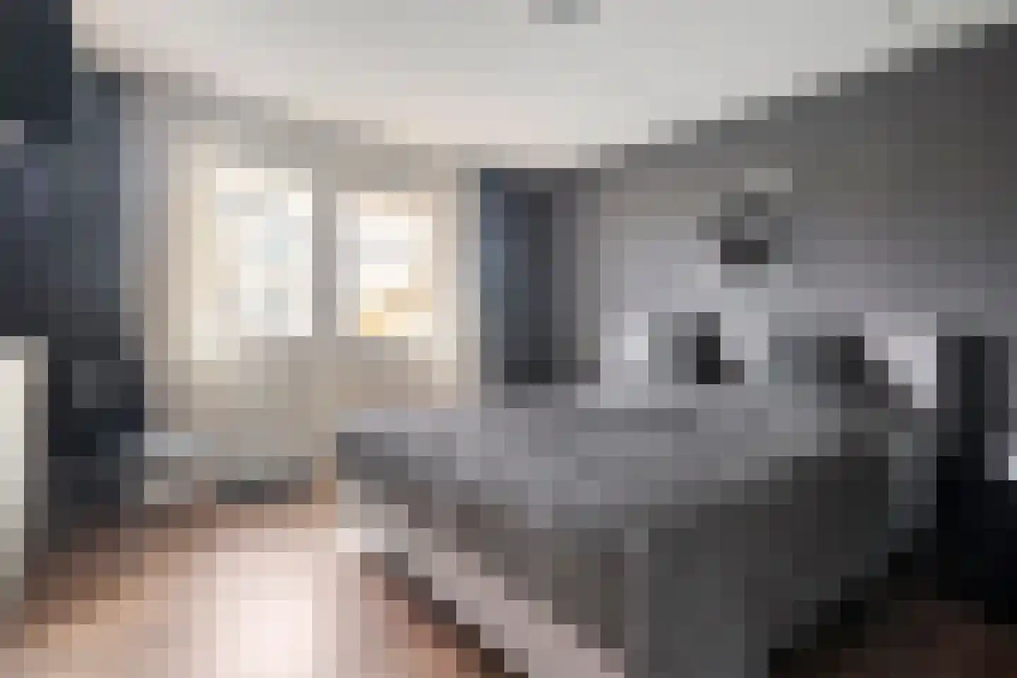 Singraven 29 Raalte thumbnail 31