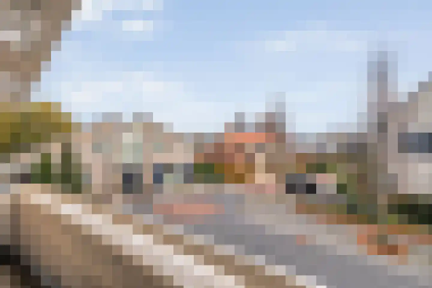 Singraven 29 Raalte thumbnail 34