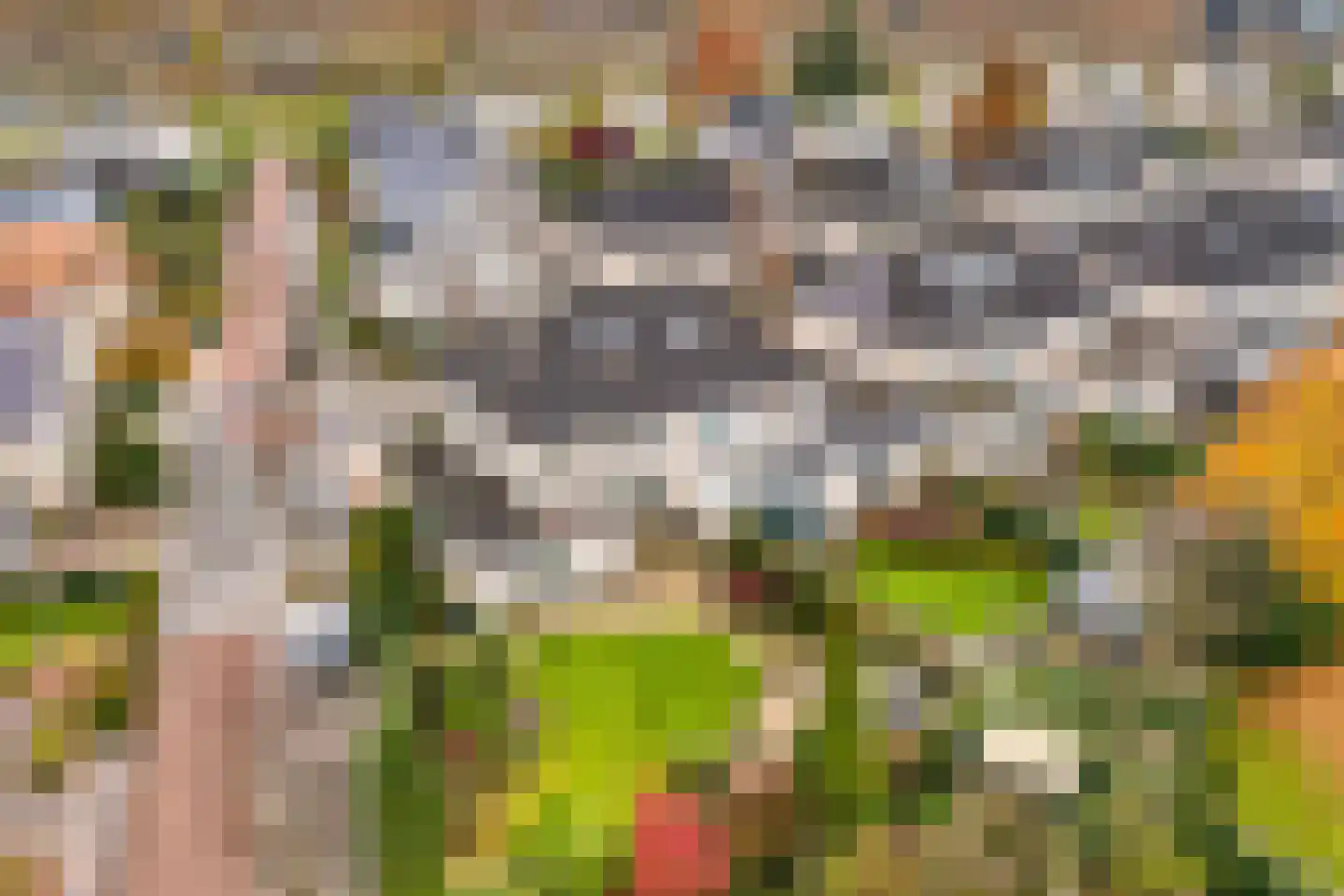 Singraven 29 Raalte thumbnail 4