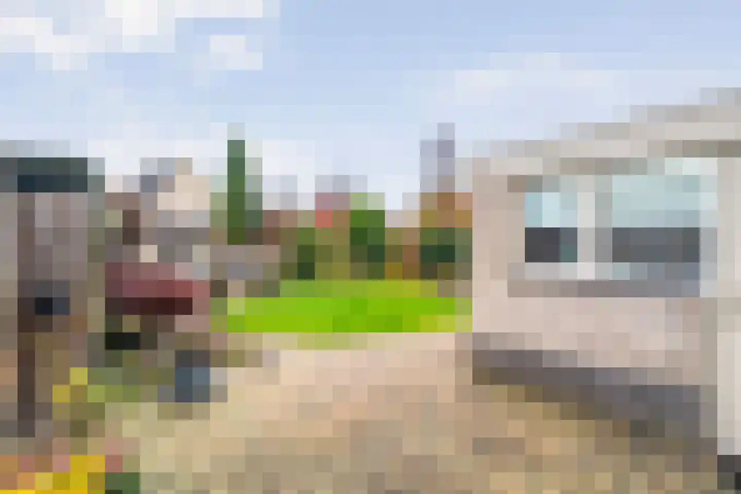 Singraven 29 Raalte thumbnail 45