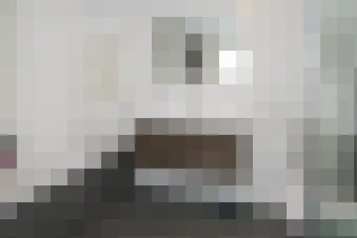 Singraven 47 Almelo thumbnail 18