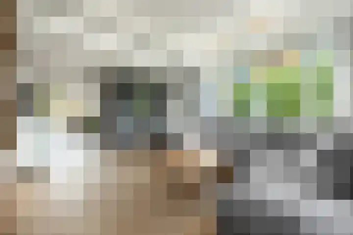 Singraven 5 Lelystad thumbnail 11