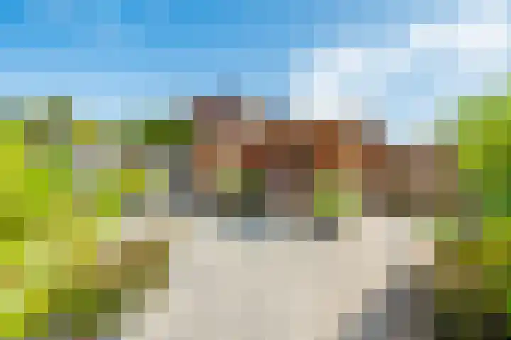 Singraven 5 Lelystad thumbnail 17