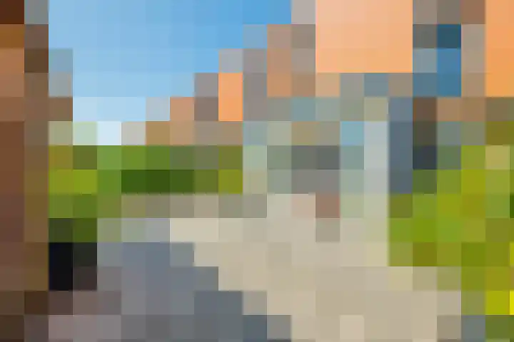 Singraven 5 Lelystad thumbnail 18