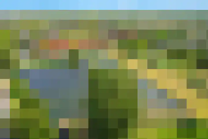 Singraven 5 Lelystad thumbnail 4