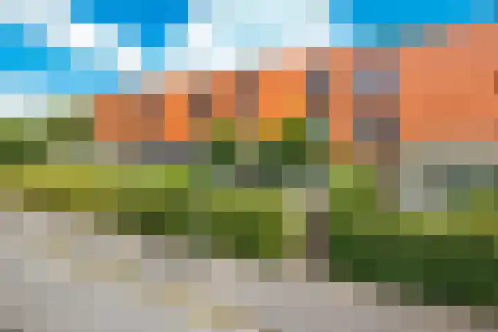 Singraven 5 Lelystad thumbnail 5