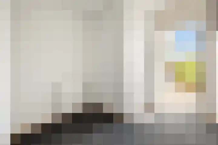 Singraven 5 Lelystad thumbnail 8
