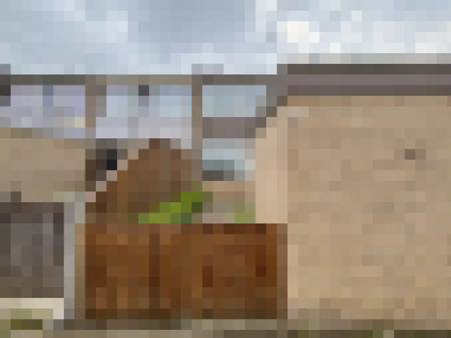 Singraven 53 Almelo thumbnail 21