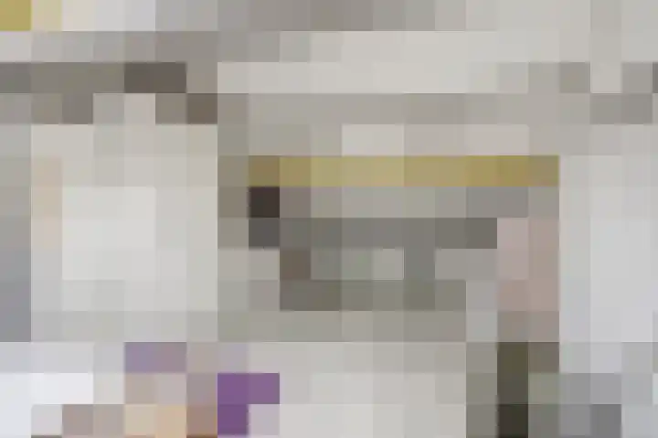 Singraven 69 Almelo thumbnail 16
