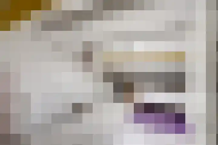 Singraven 69 Almelo thumbnail 17