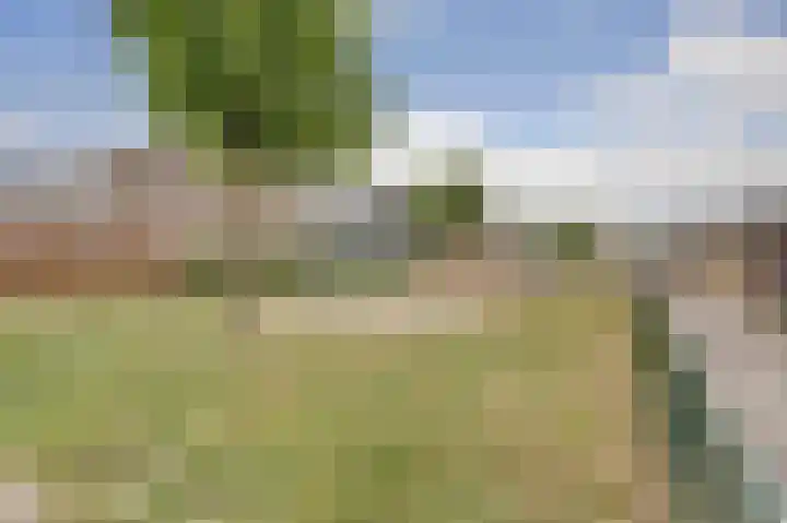 Singraven 69 Almelo thumbnail 23