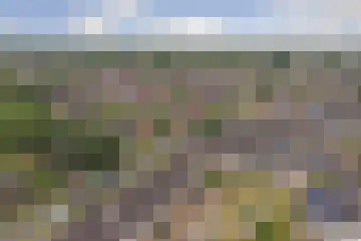Singraven 69 Almelo thumbnail 24