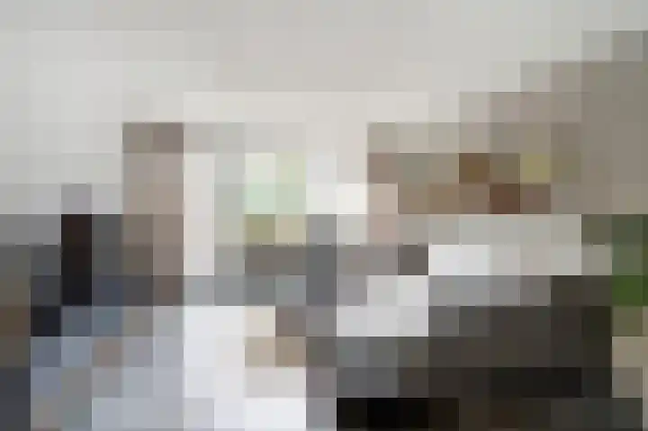 Singraven 69 Almelo thumbnail 5