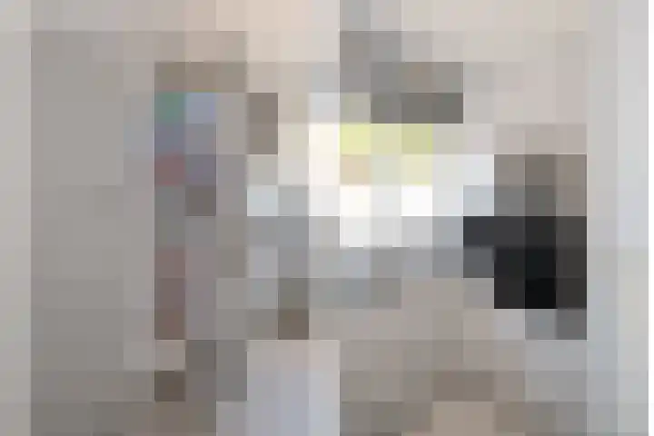 Singraven 76 Almelo thumbnail 12