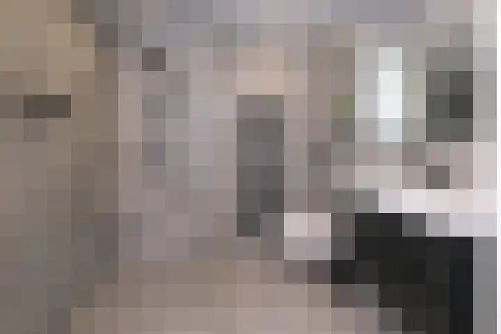 Singraven 76 Almelo thumbnail 23