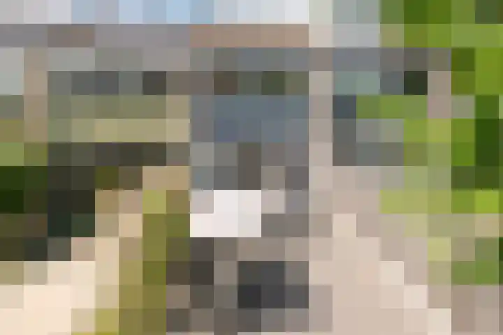 Singraven 76 Almelo thumbnail 29