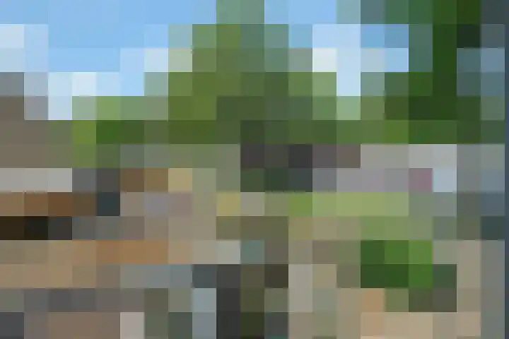 Singraven 76 Almelo thumbnail 31