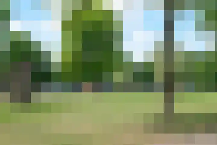 Singraven 76 Almelo thumbnail 33