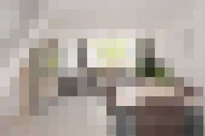 Singraven 76 Almelo thumbnail 6