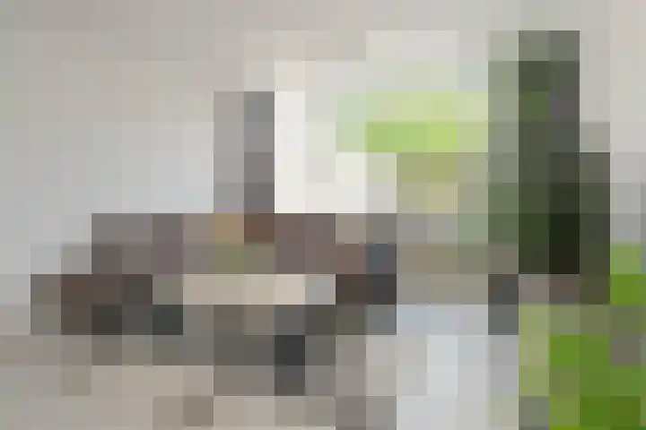 Singraven 76 Almelo thumbnail 9