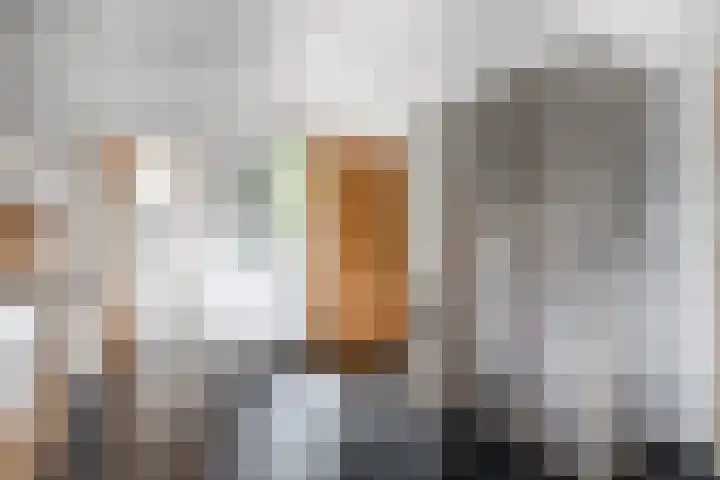 Singravendreef 20 Helmond thumbnail 23
