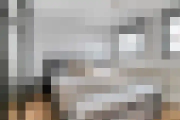 Singravendreef 20 Helmond thumbnail 38