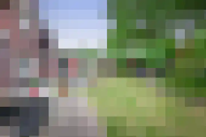 Singravendreef 20 Helmond thumbnail 43