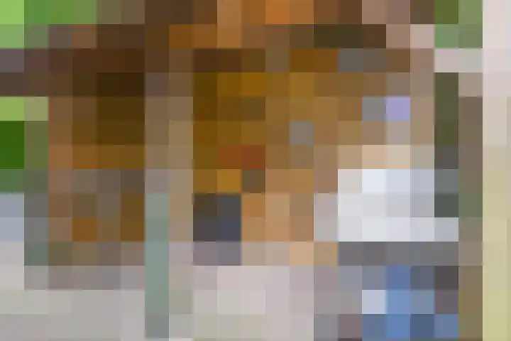 Singravendreef 20 Helmond thumbnail 48