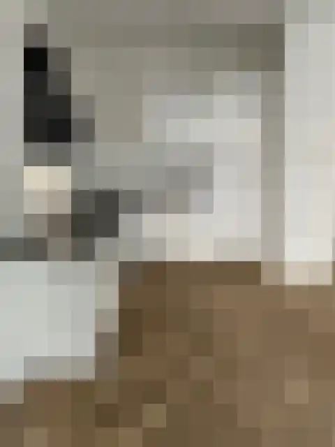 Singravenhof 68 Arnhem thumbnail 6