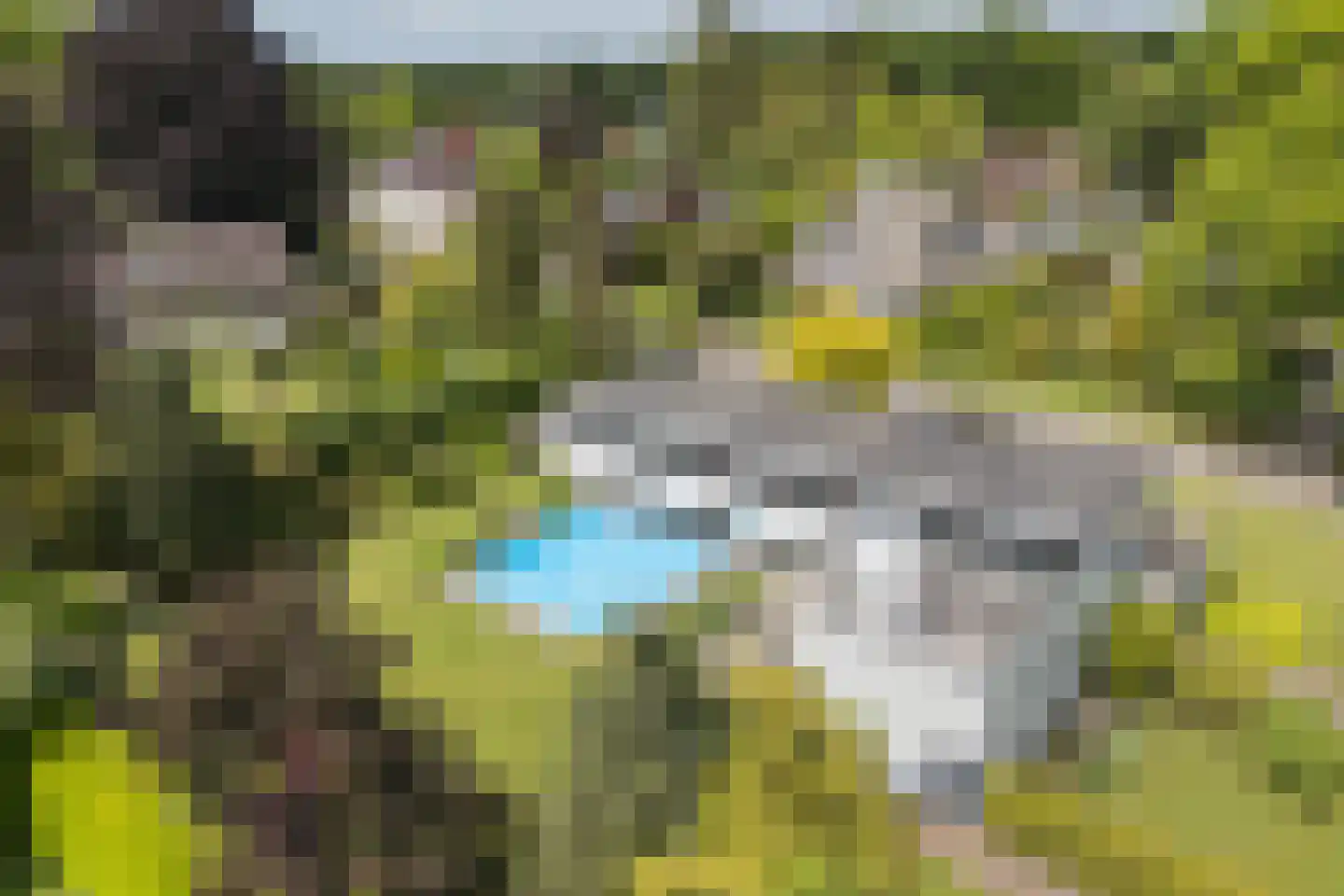 Singravenlaan 10 Enschede thumbnail 51