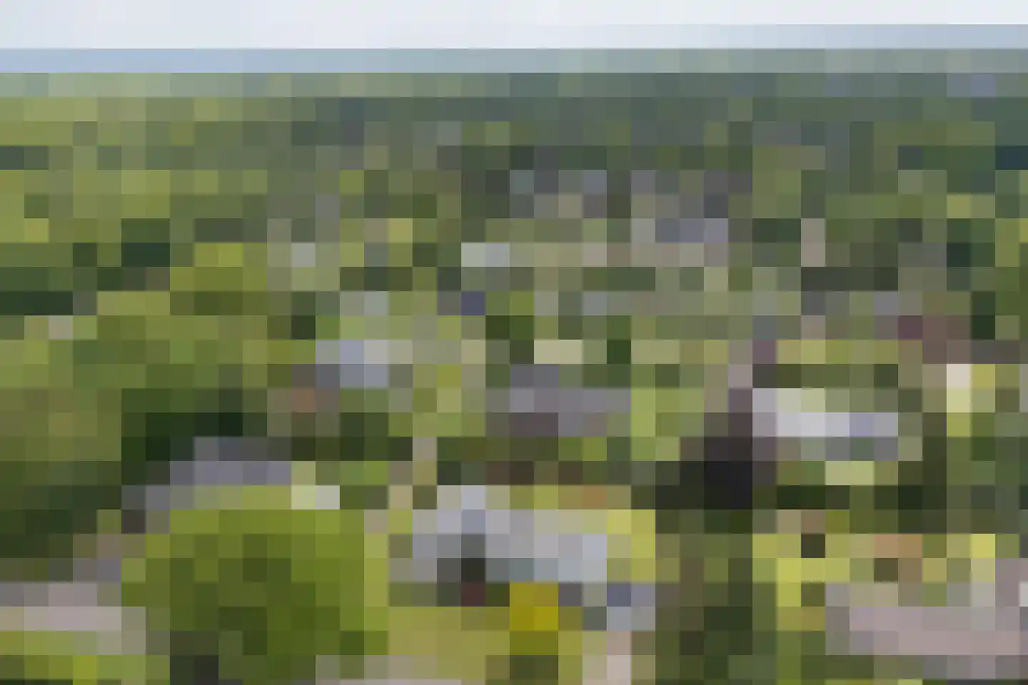 Singravenlaan 10 Enschede thumbnail 54