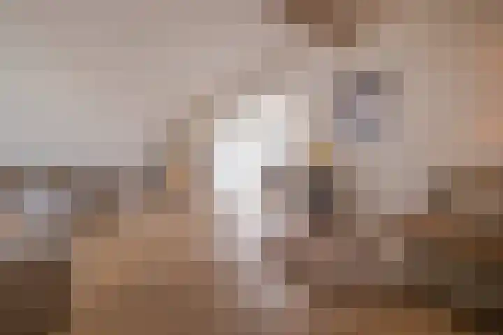 Singravenlaan 17 Arnhem thumbnail 15