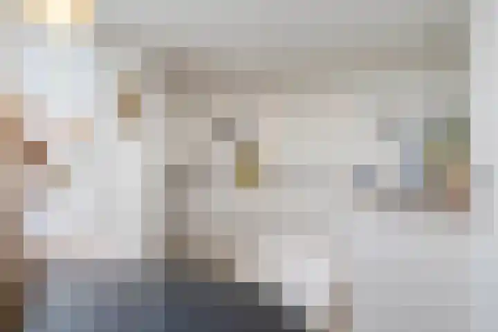 Singravenlaan 17 Arnhem thumbnail 18