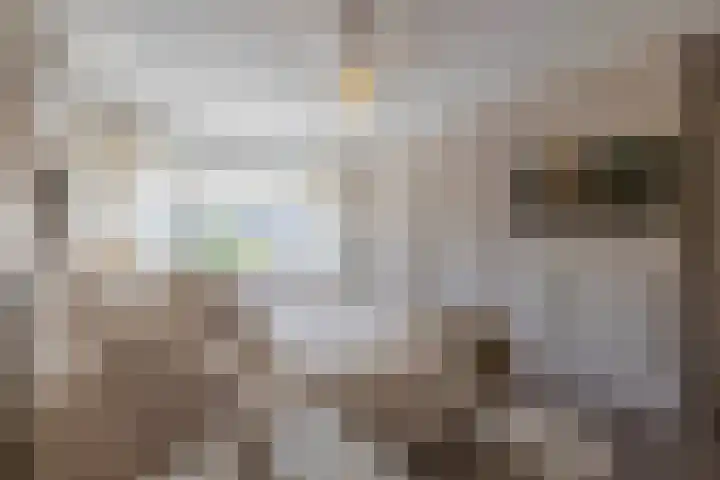 Singravenlaan 17 Arnhem thumbnail 27