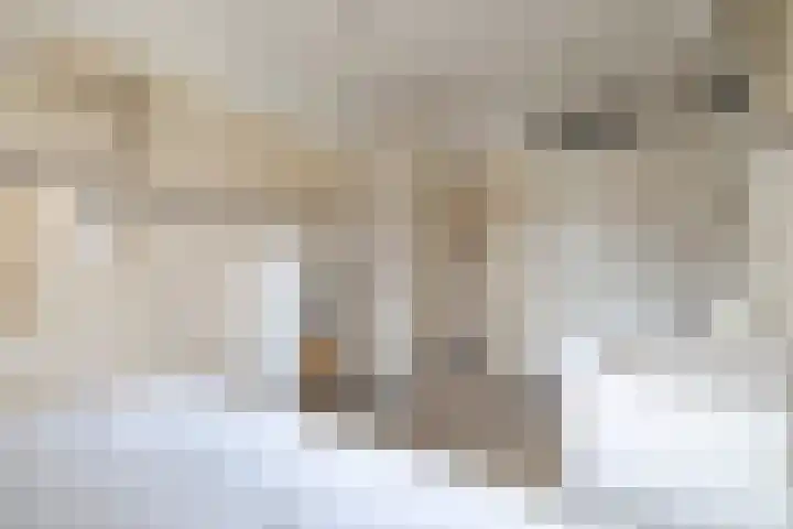 Singravenlaan 17 Arnhem thumbnail 31