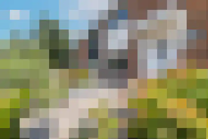 Singravenlaan 17 Arnhem thumbnail 45