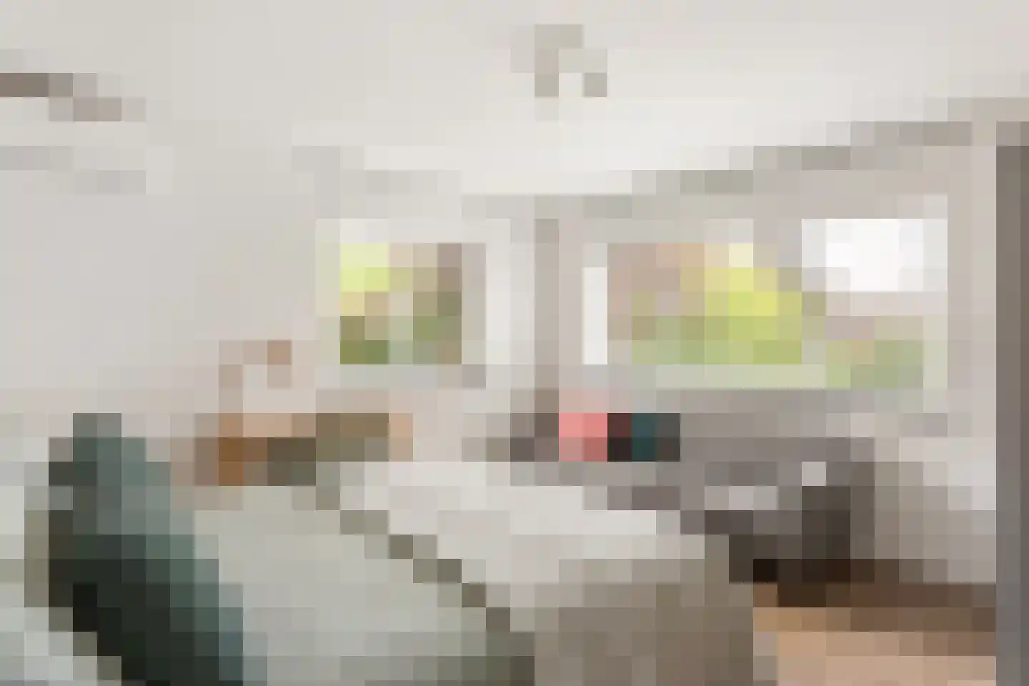 Singravenlaan 17 Enschede thumbnail 18