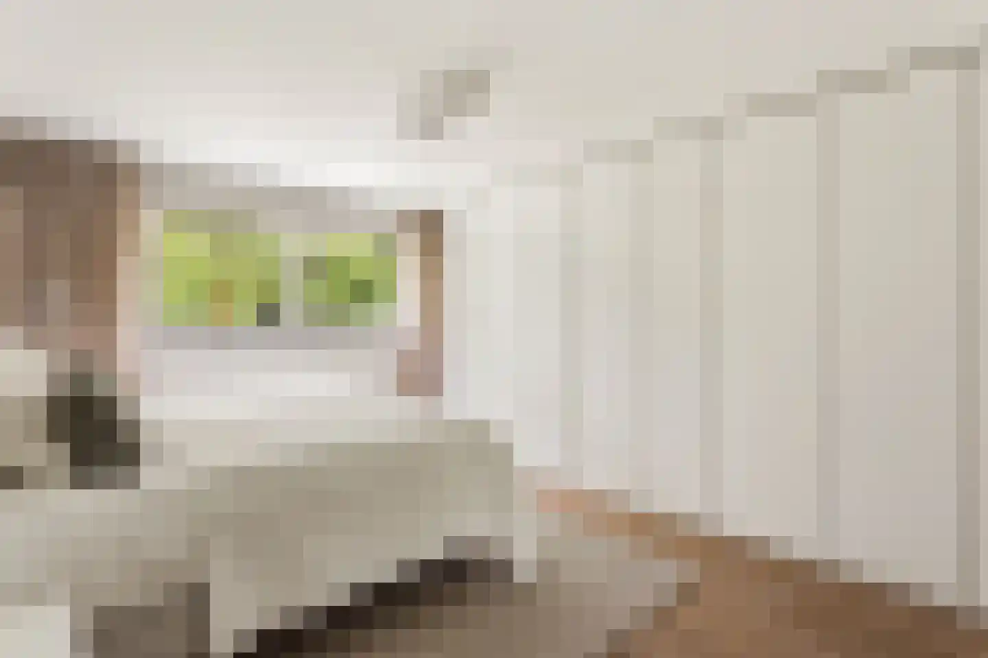 Singravenlaan 17 Enschede thumbnail 22