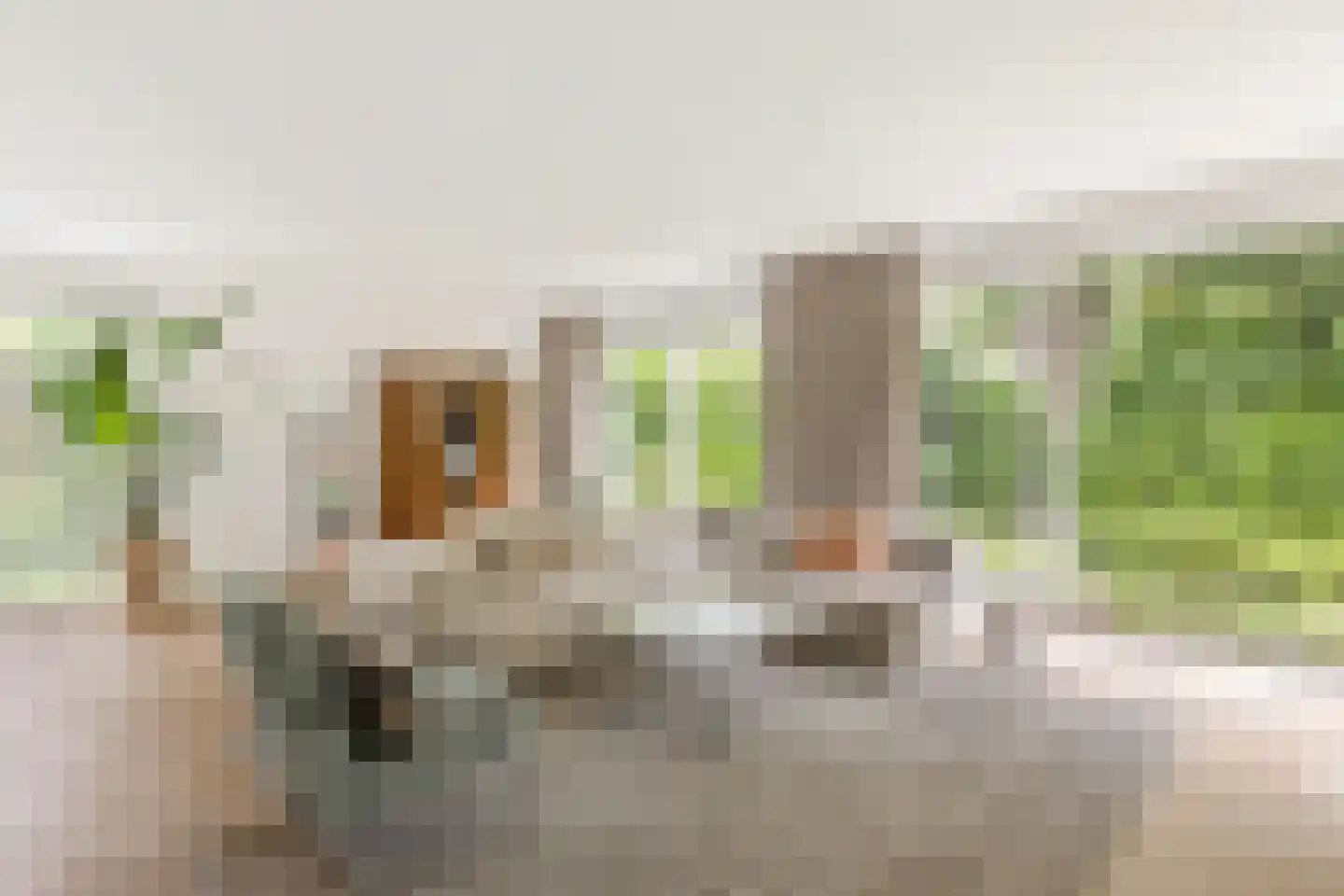 Singravenlaan 17 Enschede thumbnail 8