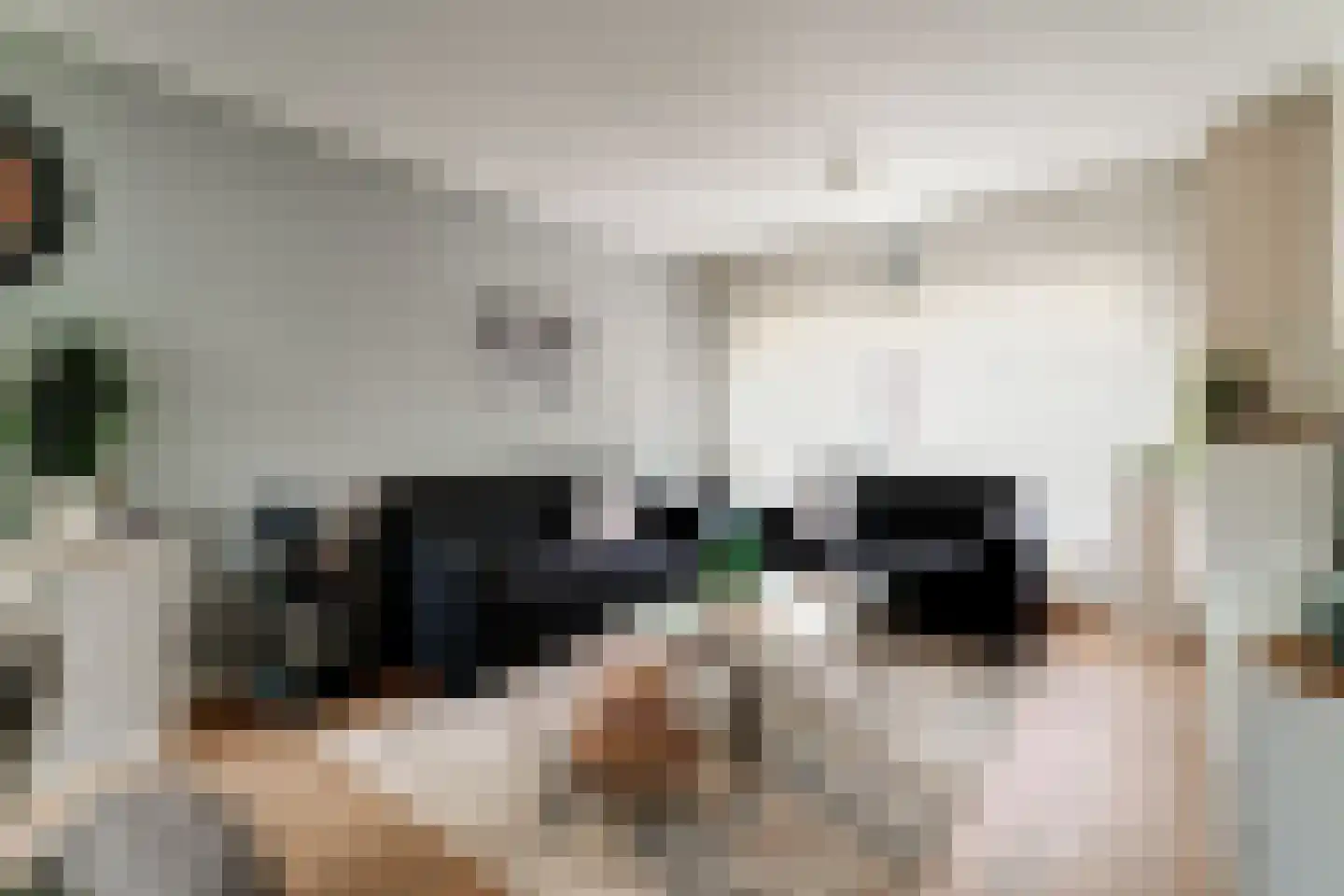 Singravenlaan 3 Arnhem thumbnail 23