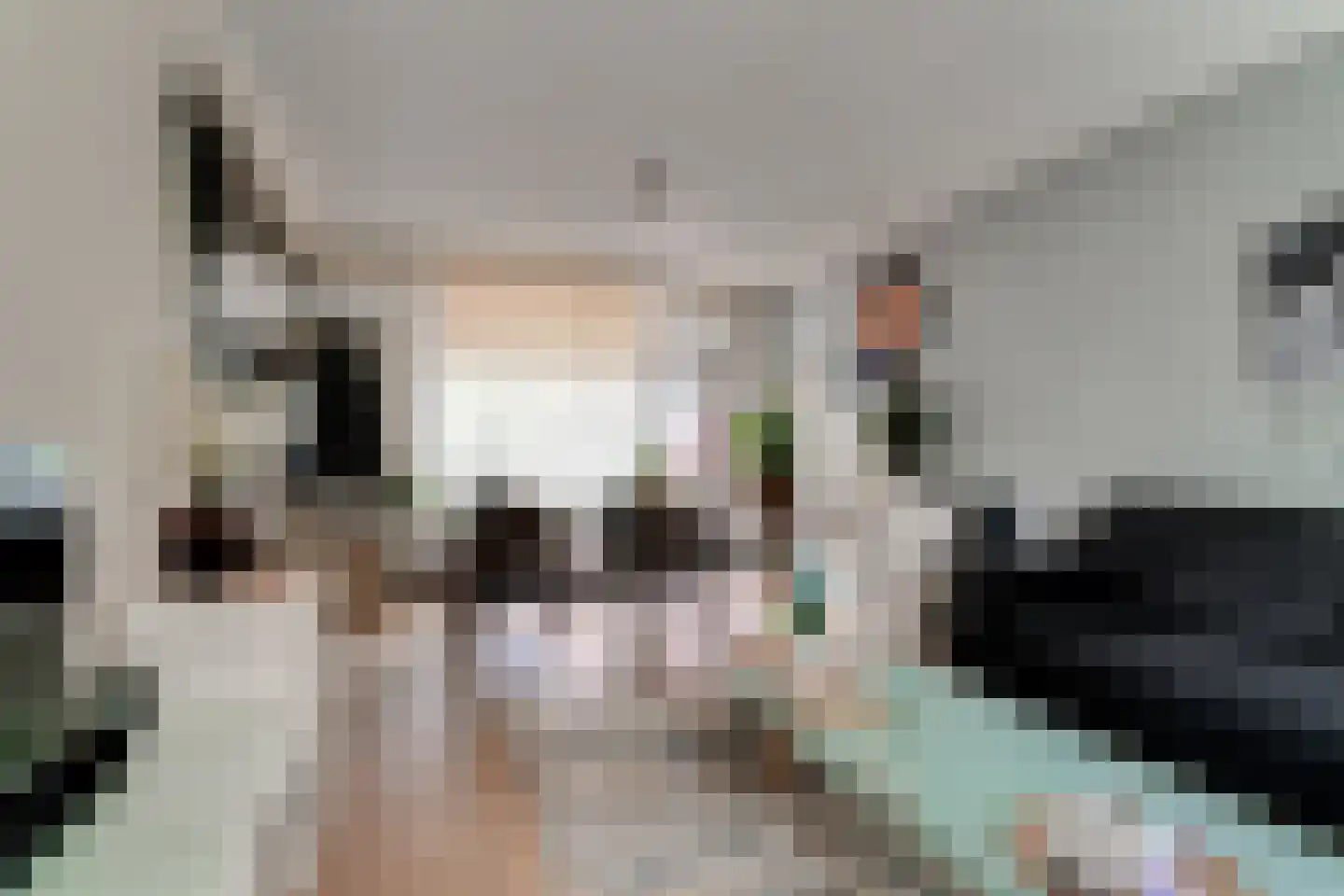Singravenlaan 3 Arnhem thumbnail 26
