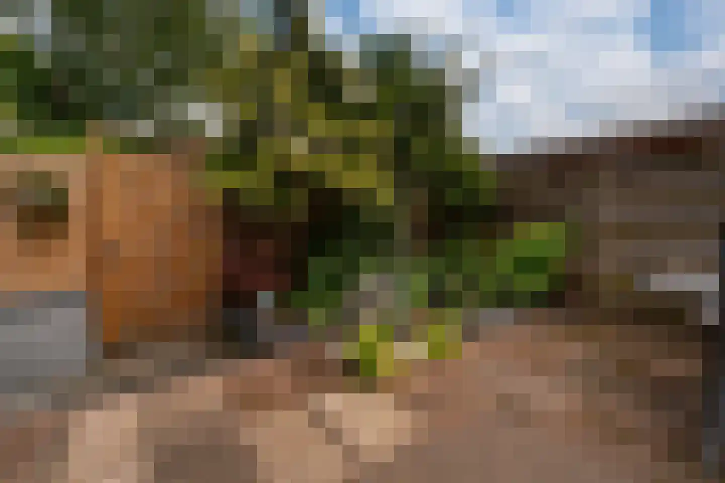Singravenlaan 3 Arnhem thumbnail 29