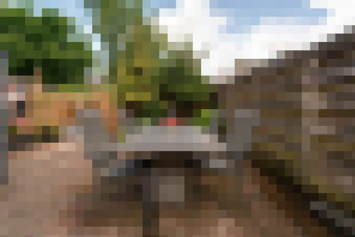 Singravenlaan 3 Arnhem thumbnail 32