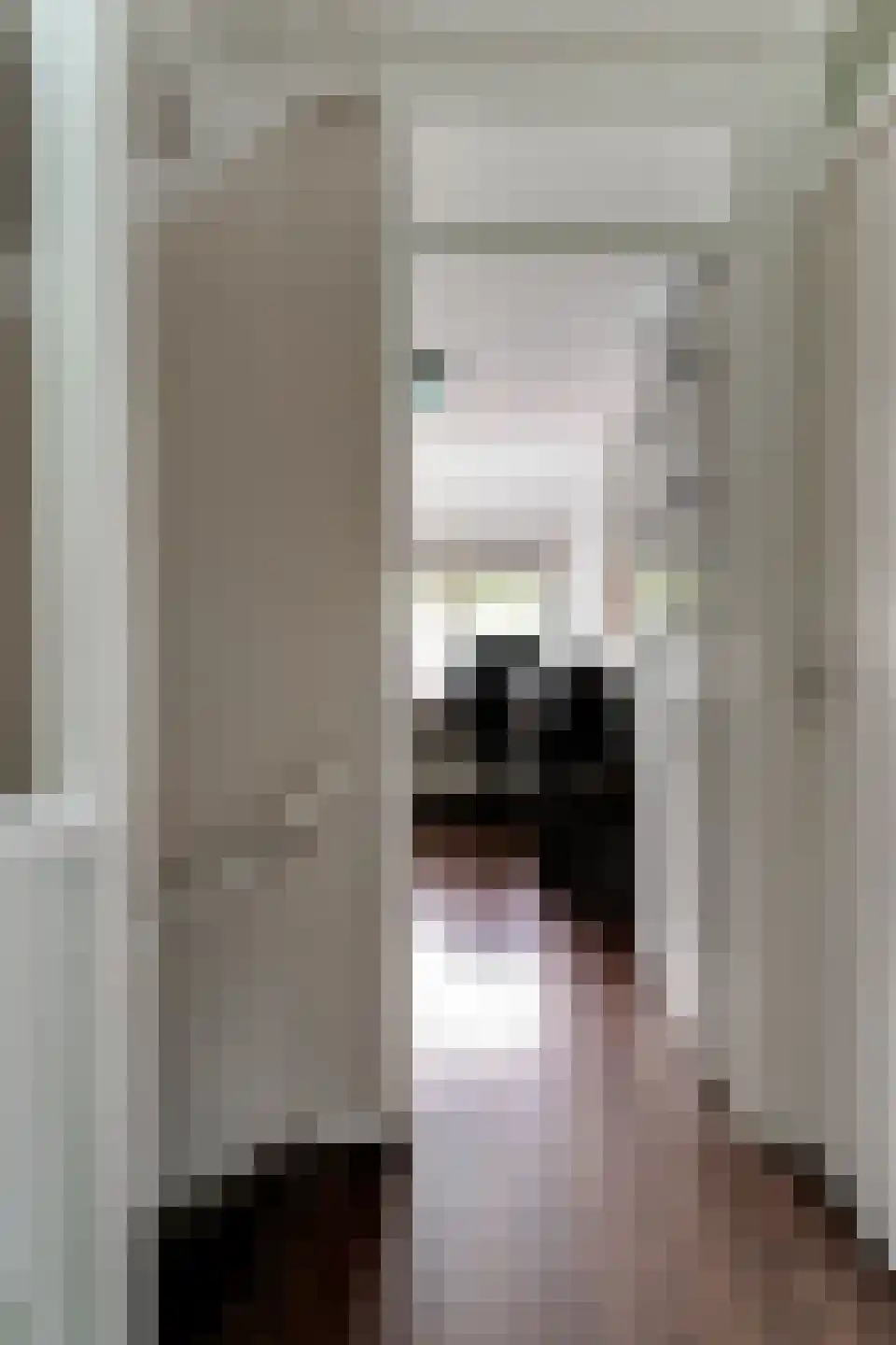 Singravenlaan 3 Arnhem thumbnail 35