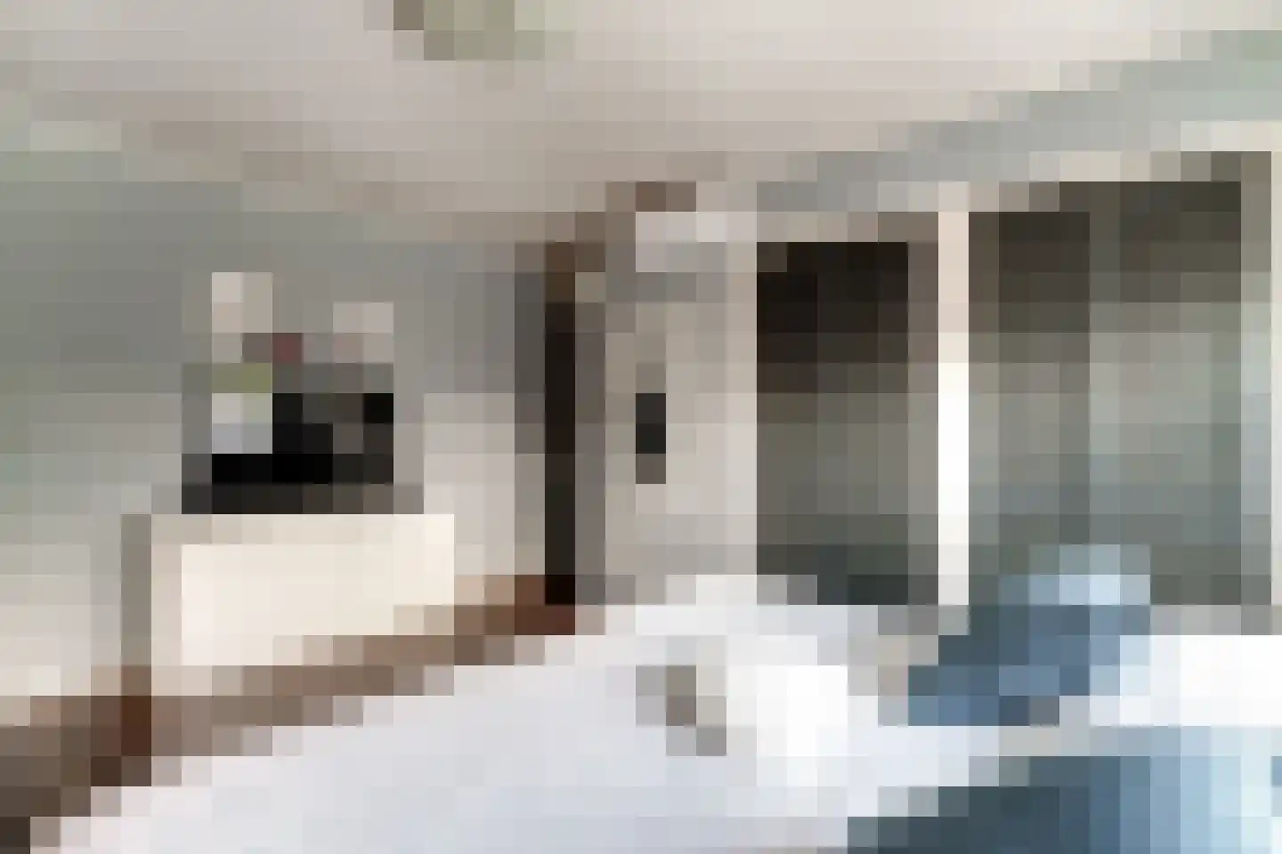 Singravenlaan 3 Arnhem thumbnail 42