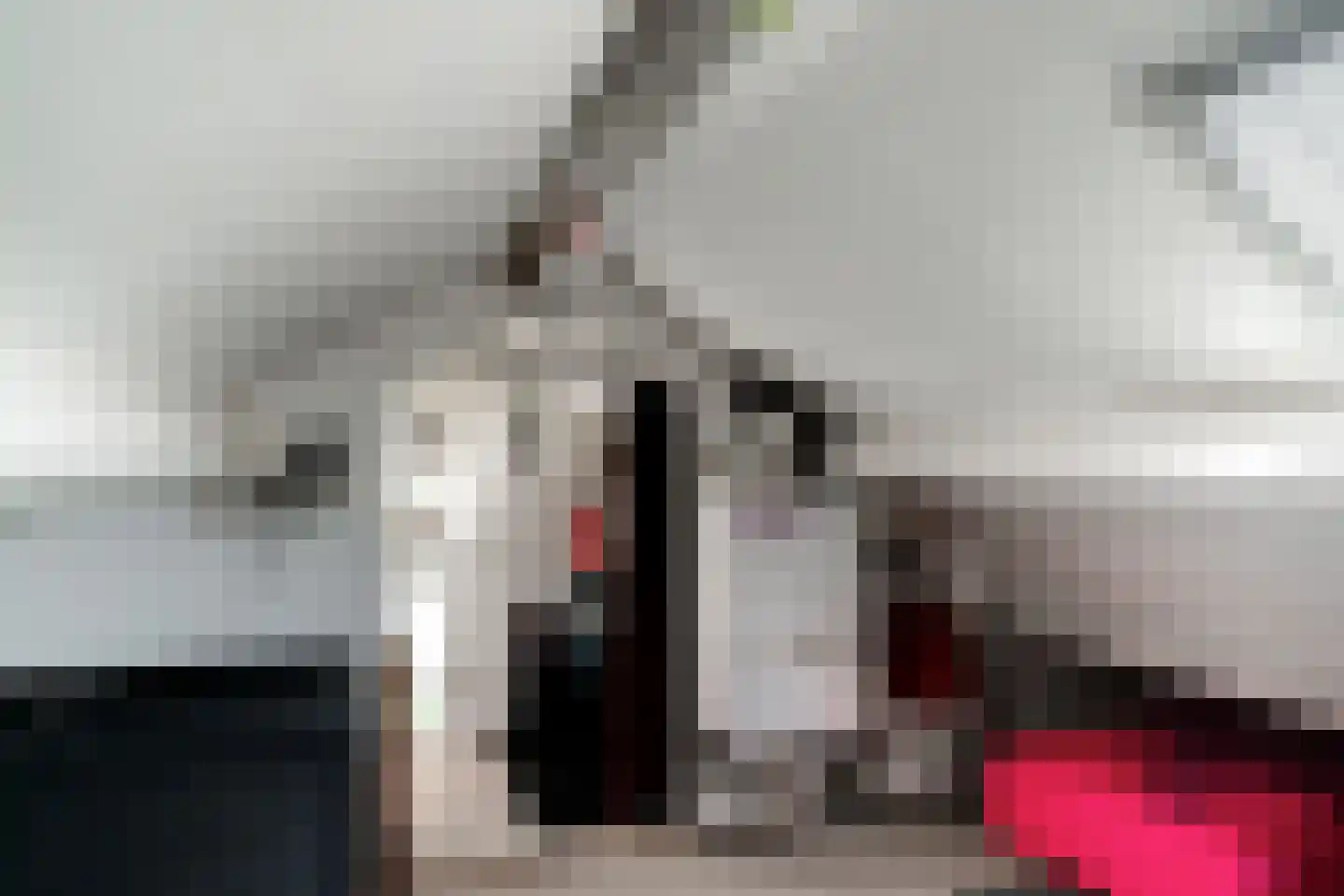 Singravenlaan 3 Arnhem thumbnail 51