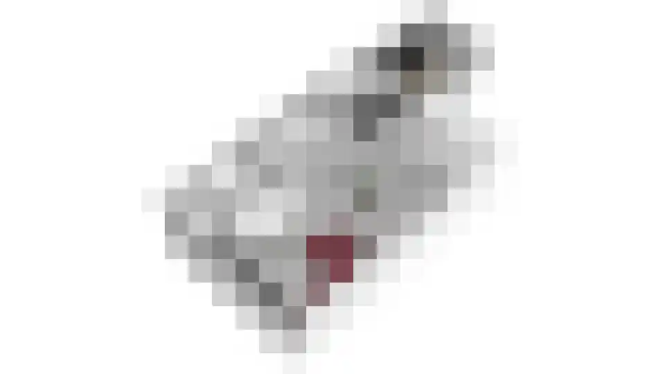 Singravenlaan 3 Arnhem thumbnail 58