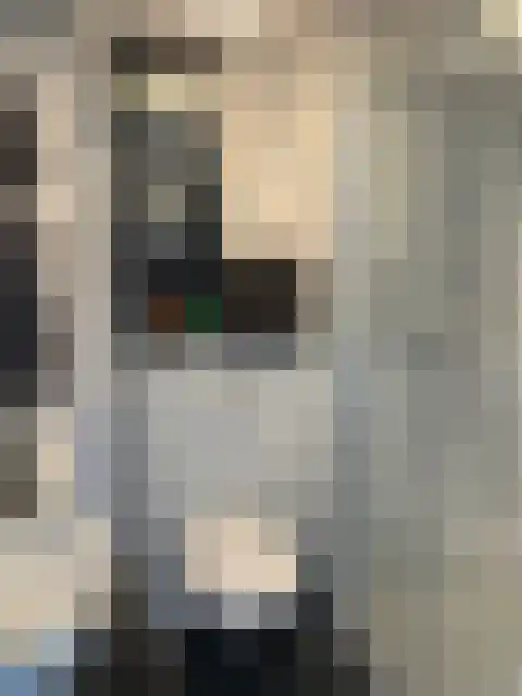 Singravenlaan 4 Arnhem thumbnail 5