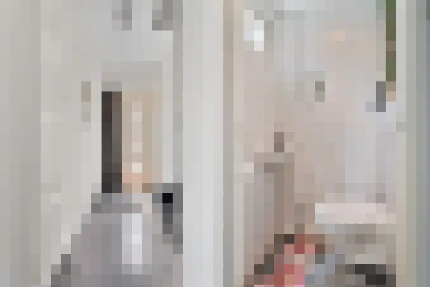 Singravenlaan 7 Arnhem thumbnail 20